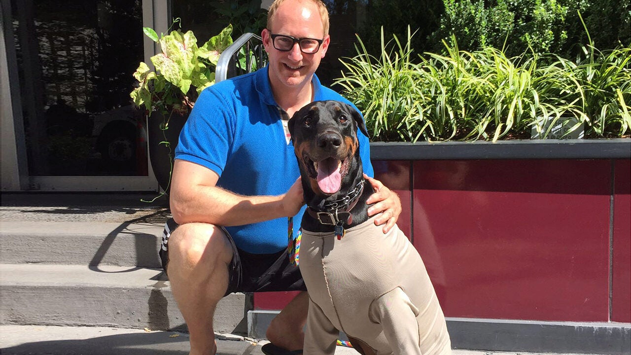 A person in a blue shirt is kneeling next to a Doberman wearing a protective suit, both outdoors near potted plants.