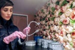 A person wearing pink gloves is examining a wire metal piece near a wall decorated with pink and white artificial roses.