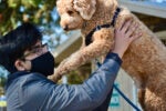 A person wearing a black mask and glasses holds up a curly-haired dog outdoors.