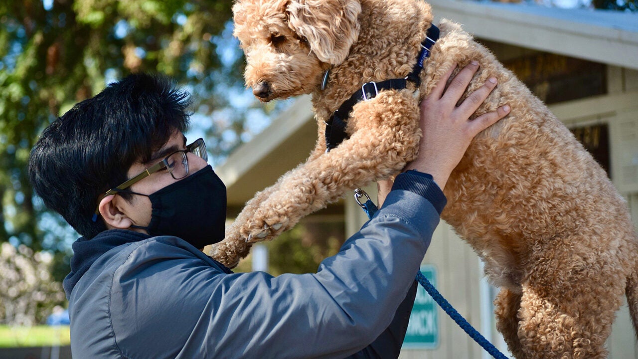 A person wearing a black mask and glasses holds up a curly-haired dog outdoors.