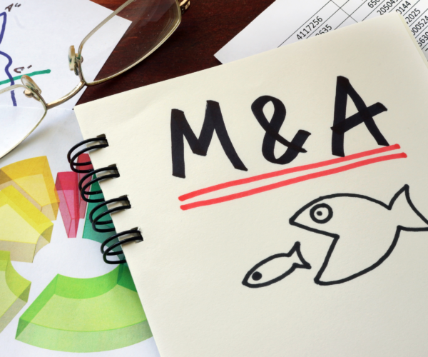 The Power of Strategic Thinking: Intel from an M&A Professional