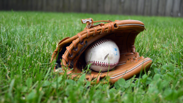 A baseball in a brown glove placed on a grassy field, with a wooden fence in the background.